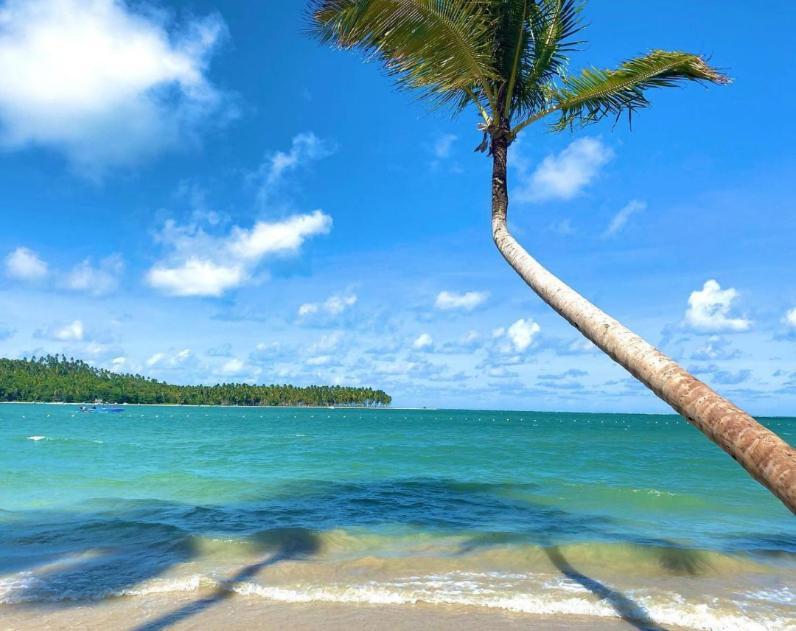 Flat Praia Dos Carneiros Eco Resort 26 Tamandare Bagian luar foto